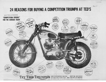 desert-triumph