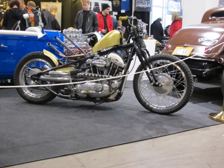gul-sporre