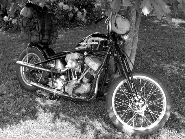En vacker och lite dekadent panhead lutades sig lättjefullt mot ett träd i parken och betraktade de förbipasserande motorcyklarna. Hon förde en kopp motorolja till påfyllningsröret och doften av avgaser och rak femti-olja påminde henne plötsligt och oväntat om ett minne från den tid som flytt.  Blandade känslor av vemod och saknad vällde upp inom henne.