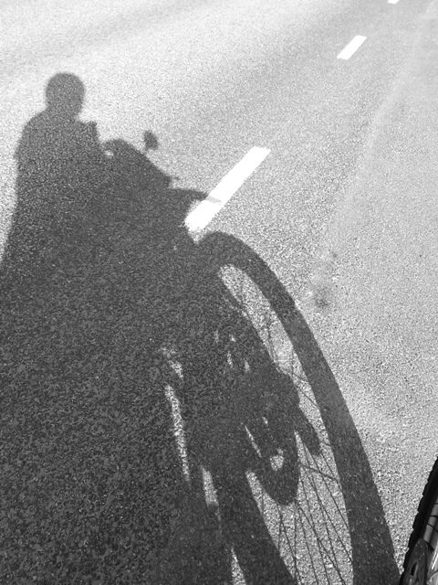 shadow